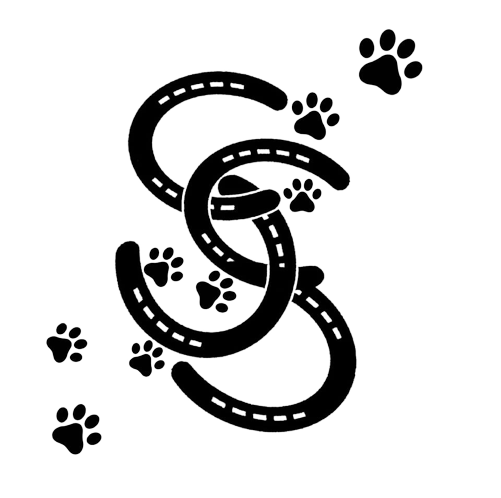 Stash Stables Livery & Dog Park