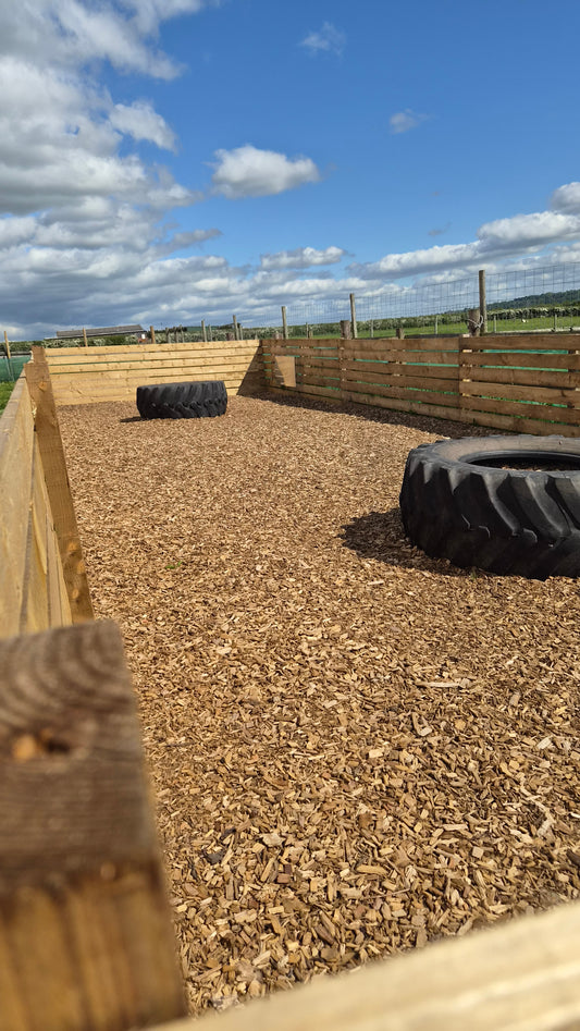 Maris Piper Dog Park Hire - 45 min
